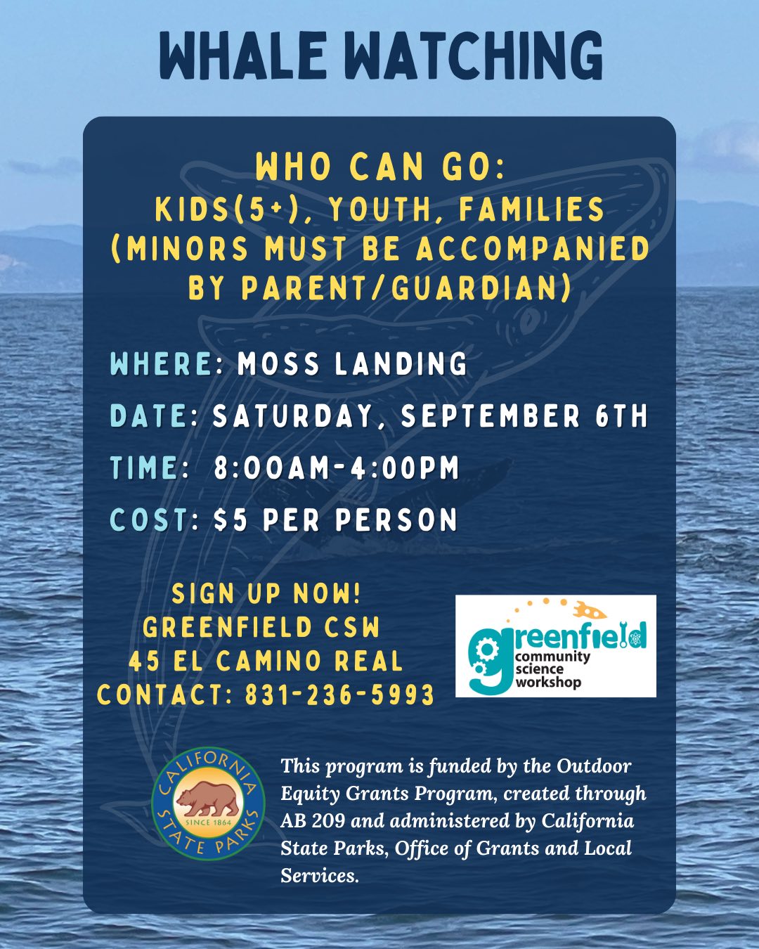 Flyer image
