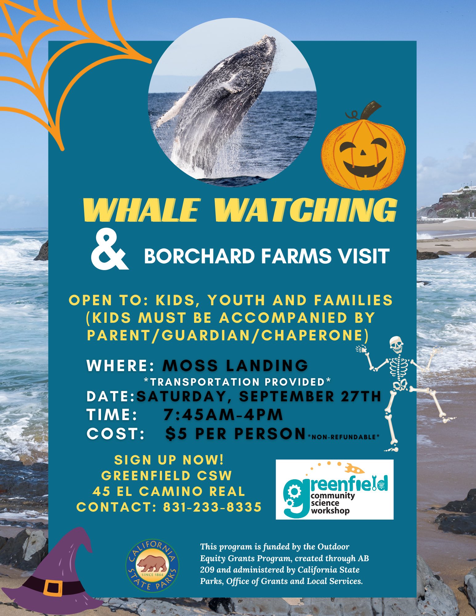 Flyer image