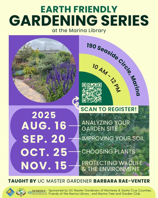 Flyer image
